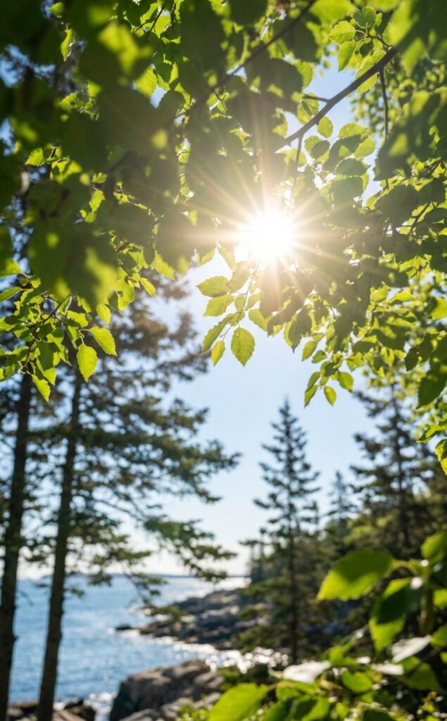 maine image shorter 10