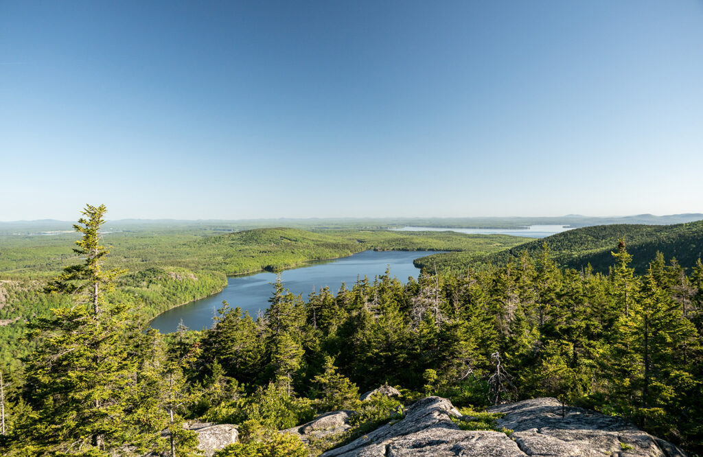 shutterstock 2635561951