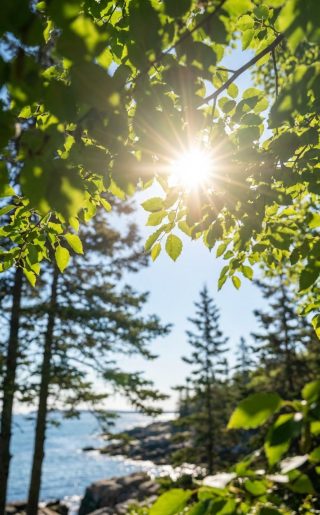 maine image shorter 10